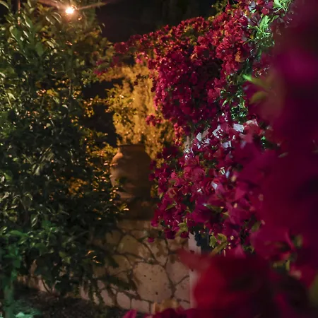 Sari Gelin ホテル 2*