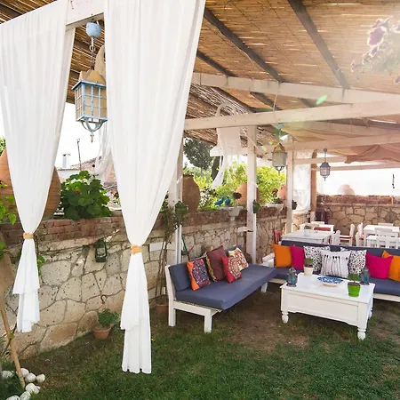 Sari Gelin アラカティ