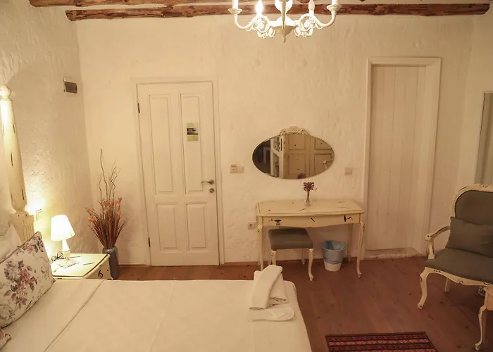 ホテル Sari Gelin アラカティ