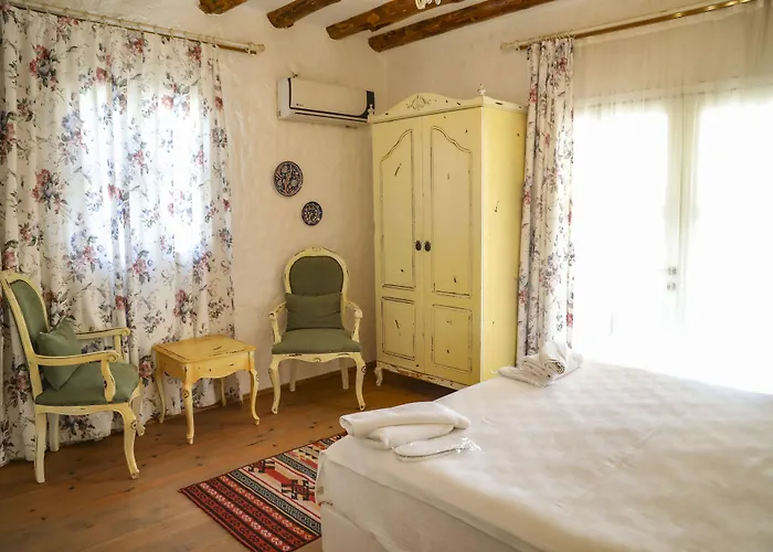 Sari Gelin ホテル 2*