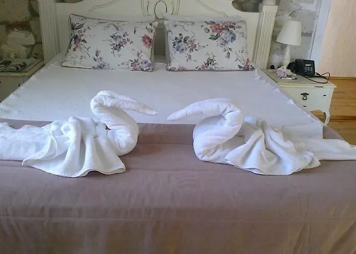 Sari Gelin ホテル