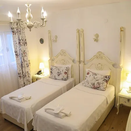 Sari Gelin 2*