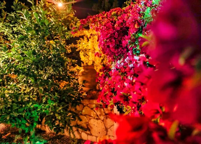 Szálloda Sari Gelin 2*