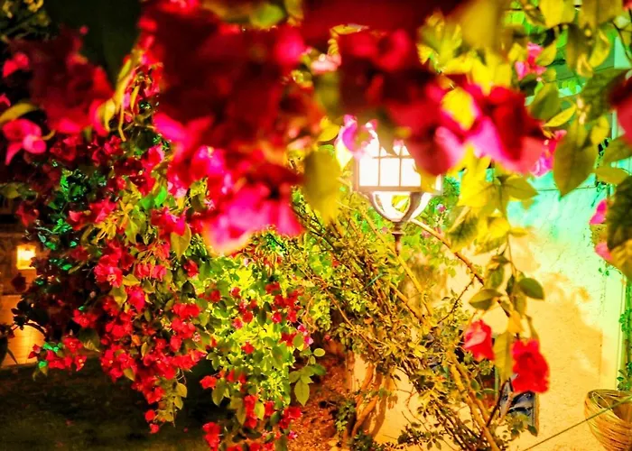 Szálloda Sari Gelin 2*